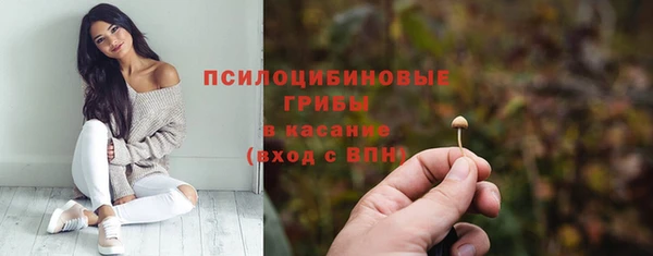 стафф Краснотурьинск
