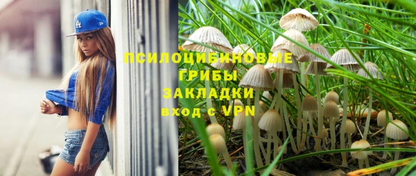 а пвп мука Куйбышев