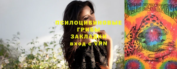 стафф Краснотурьинск