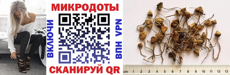 Купить закладки  Анадырь  Галлюциногенные грибы прущие грибы 